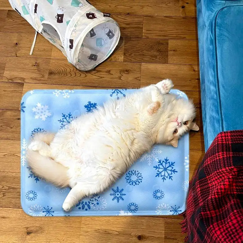 Esteira de verão refrigeração para Pet